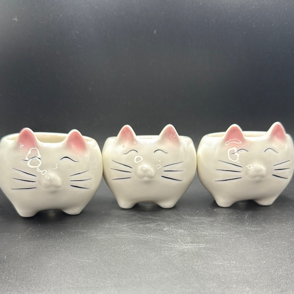 Cute Ceramic Cat Planters set of 3